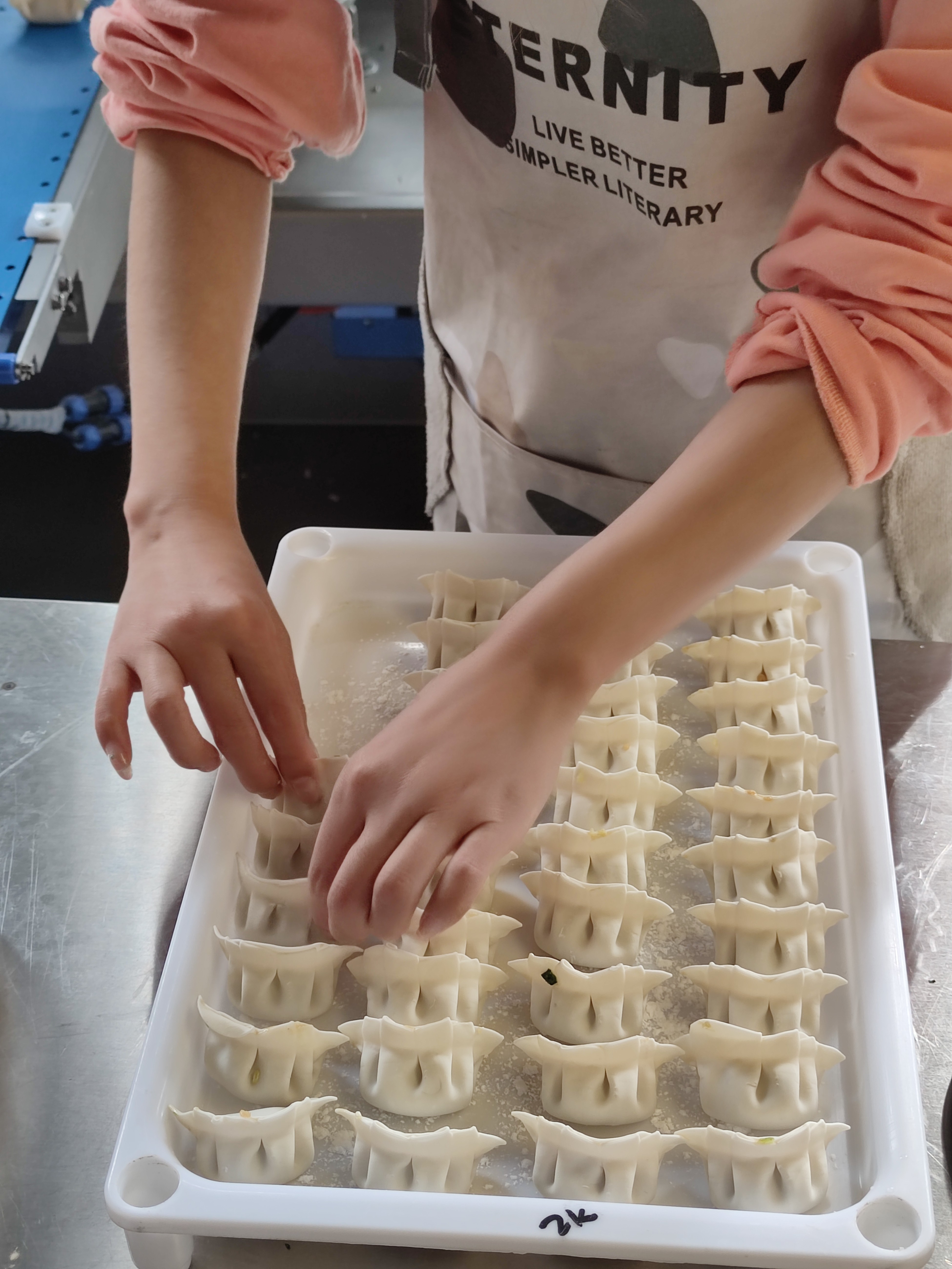 饺子样.jpg